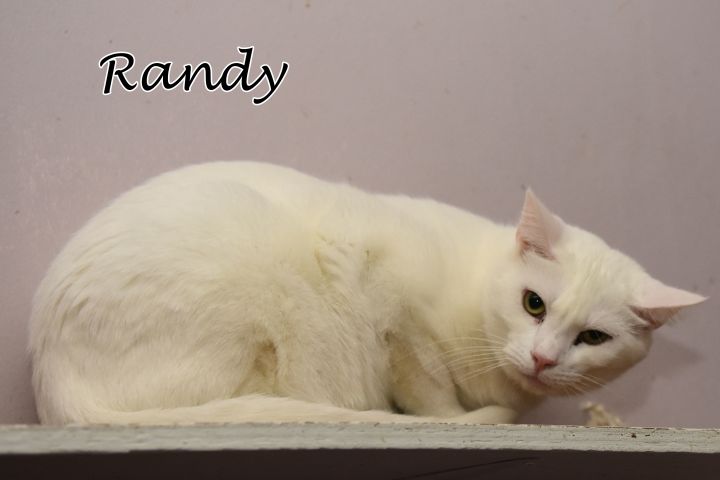 Randy 2