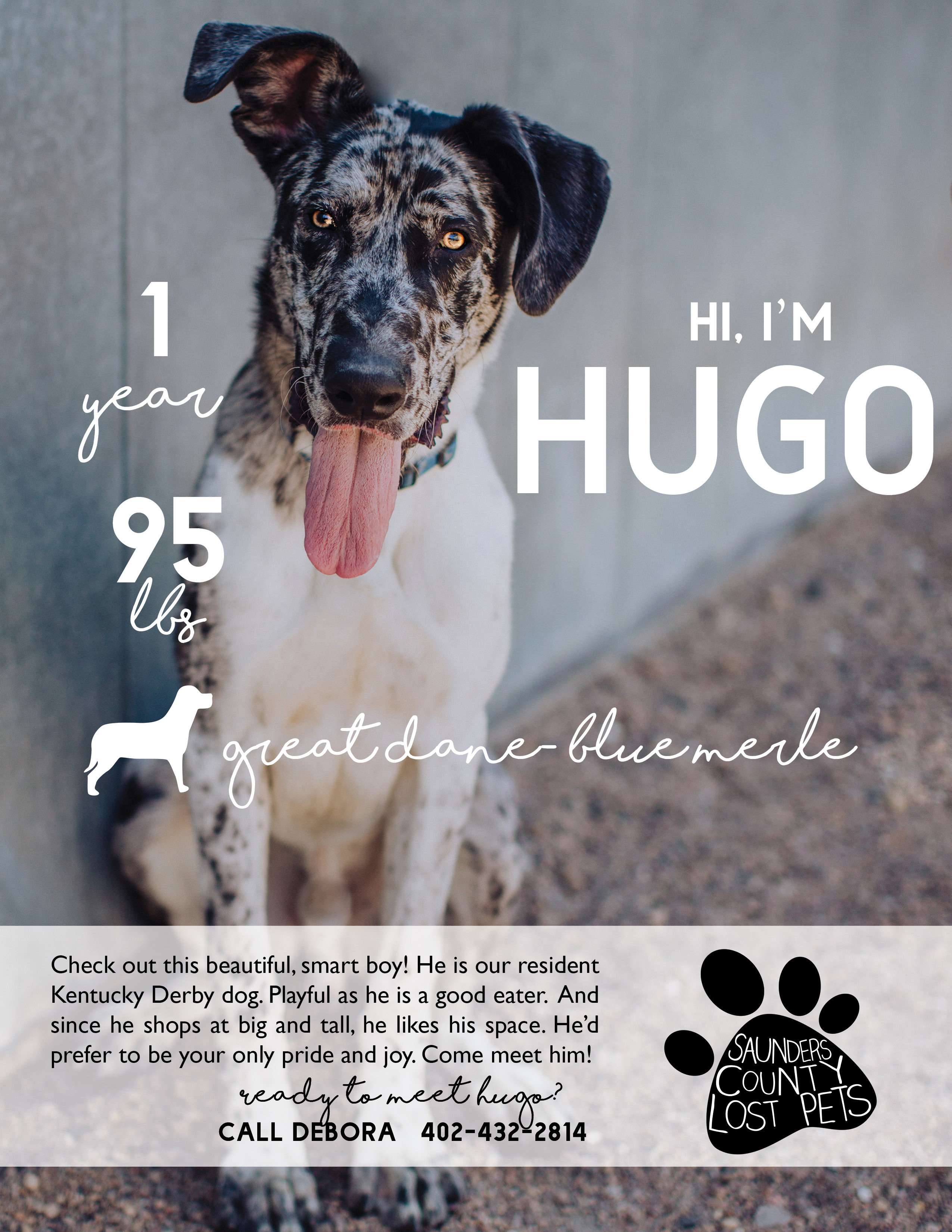 Hugo detail page