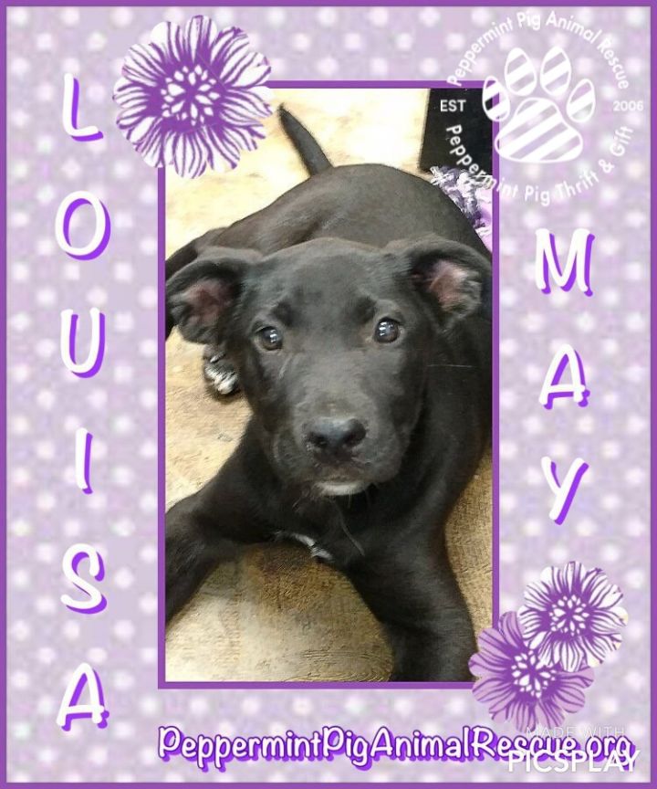 Louisa May 1
