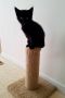 . Binx .