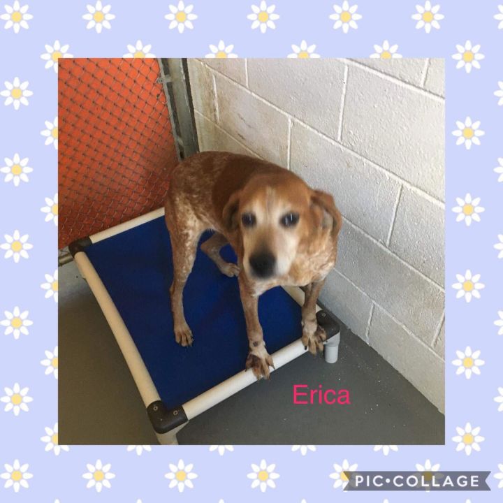 Erica- Family Friendly! 2