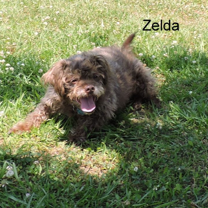 Zelda 3