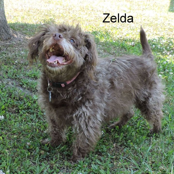 Zelda 4