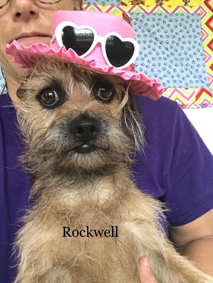 Rockwell 1