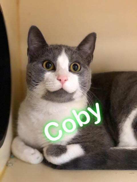 Coby! At PetSmart! 1