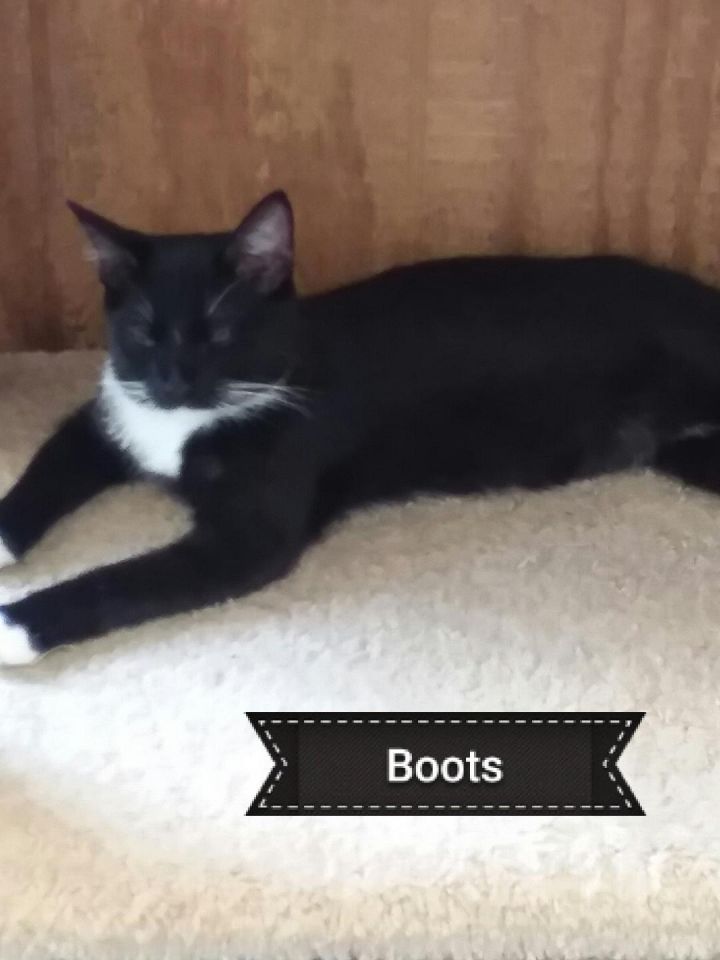 Boots 3