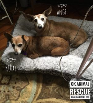 Angel and Rudy