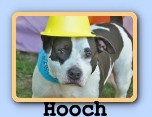 Hooch