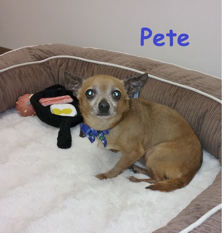 Pete 2