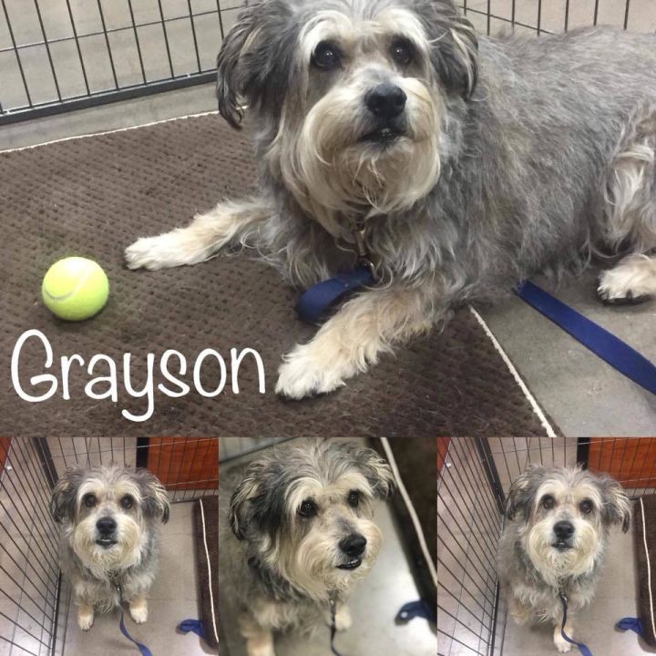Grayson 2