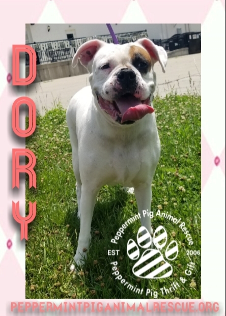 Dory Adoption Pending detail page