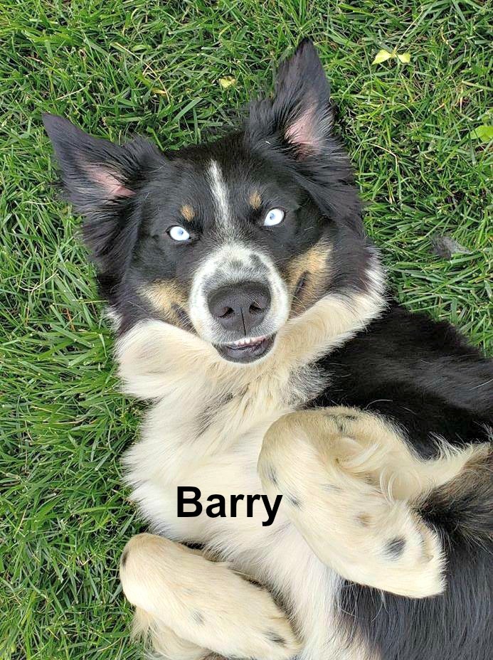 Barry 1