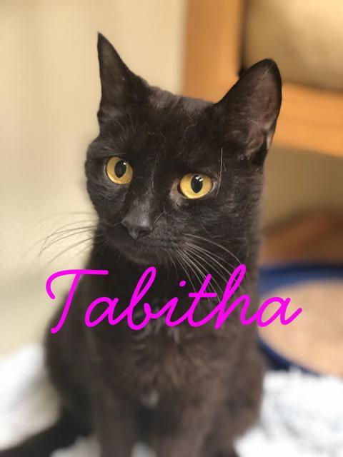 Tabitha detail page