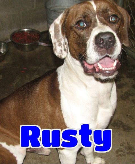 #201 Rusty -sponsored 1