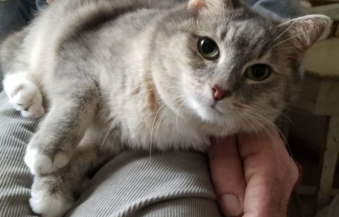 MATILDA
