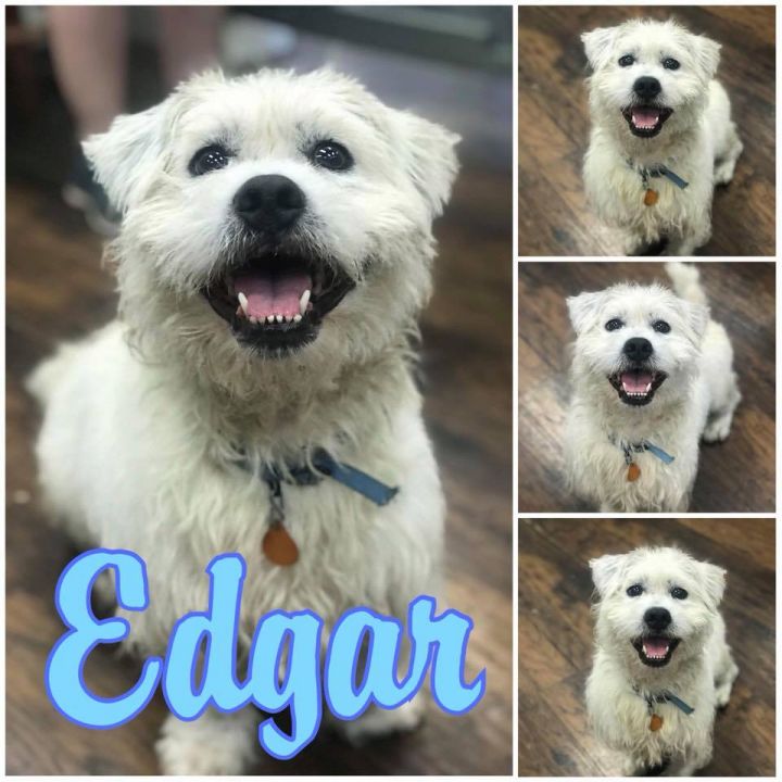 Edgar 1