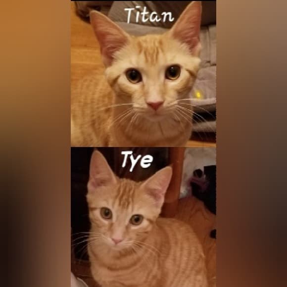 Titan and  Tye