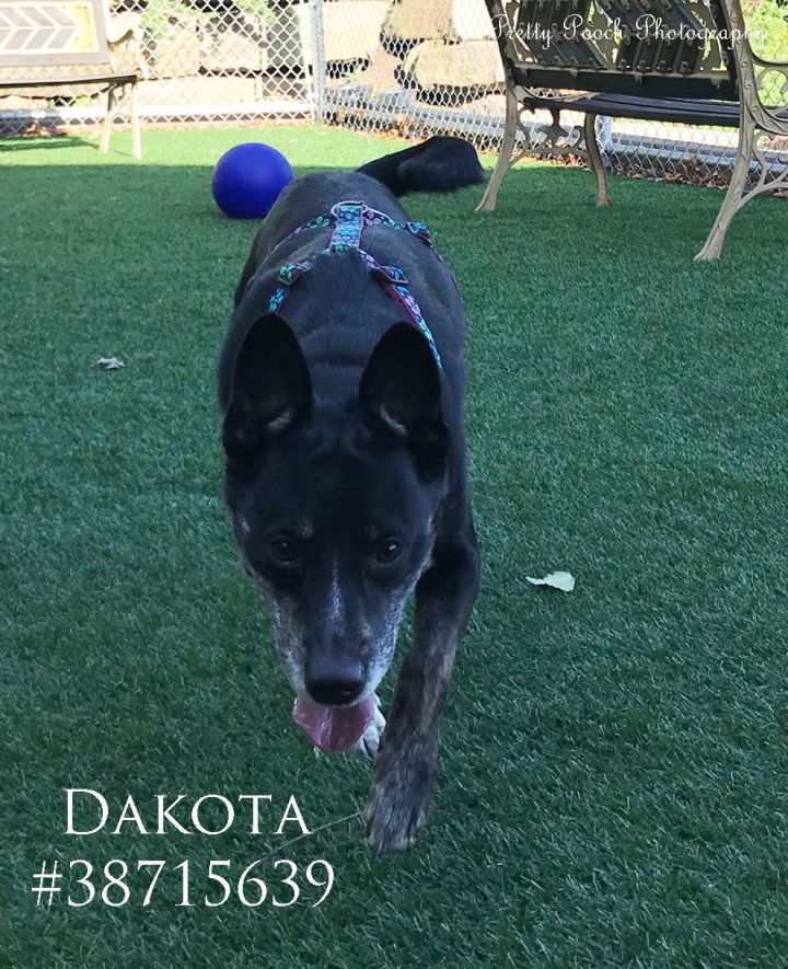 Dakota 1