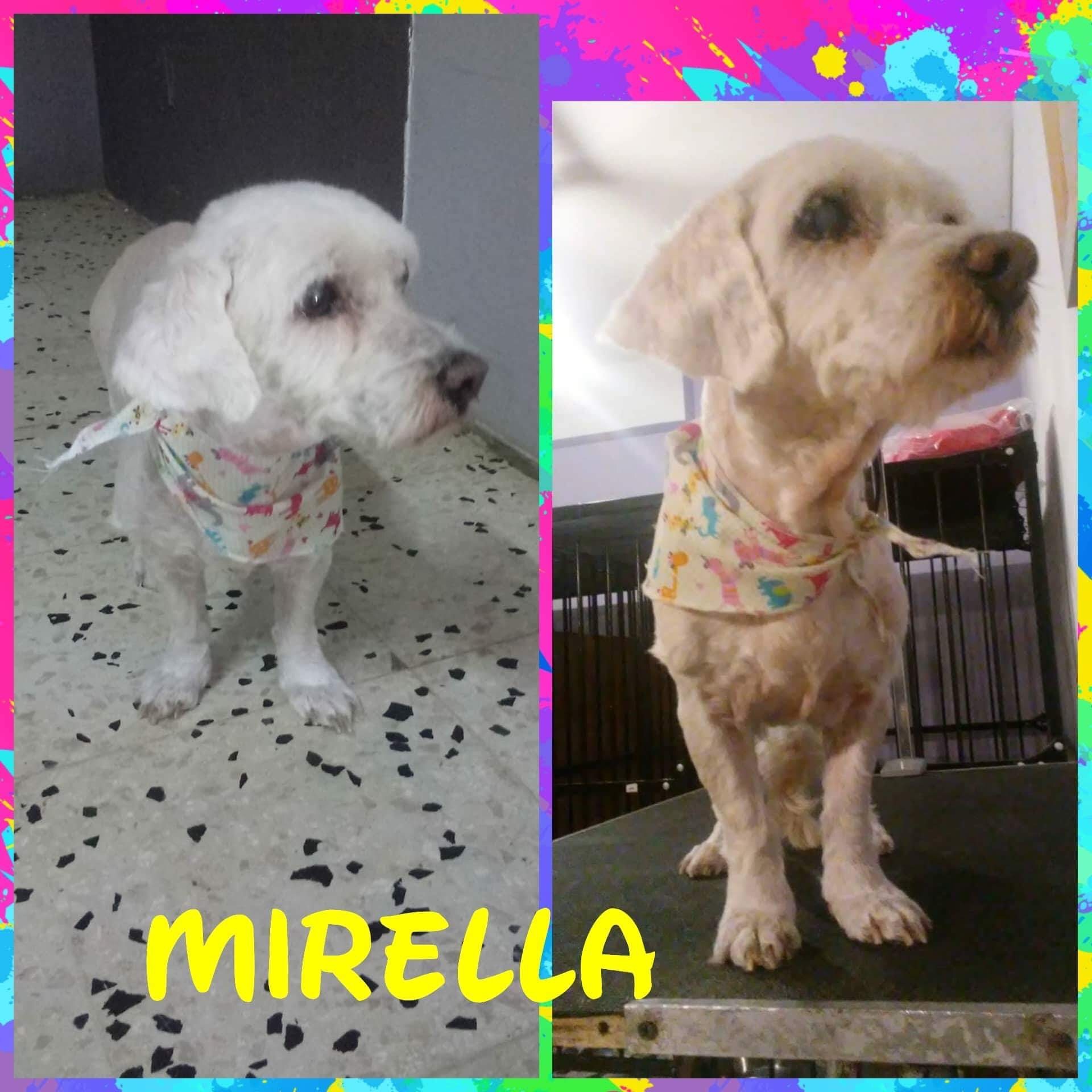 Mirella detail page