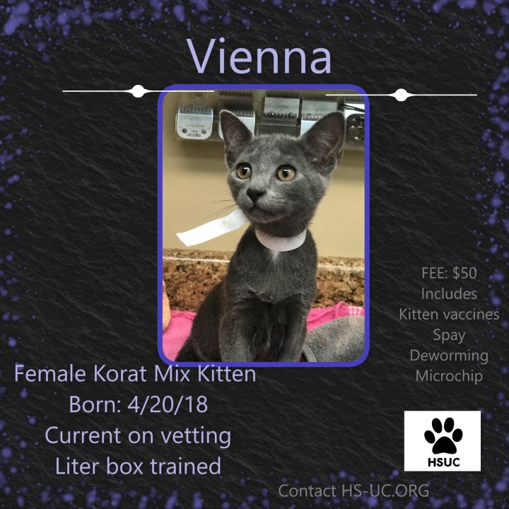 Vienna 2