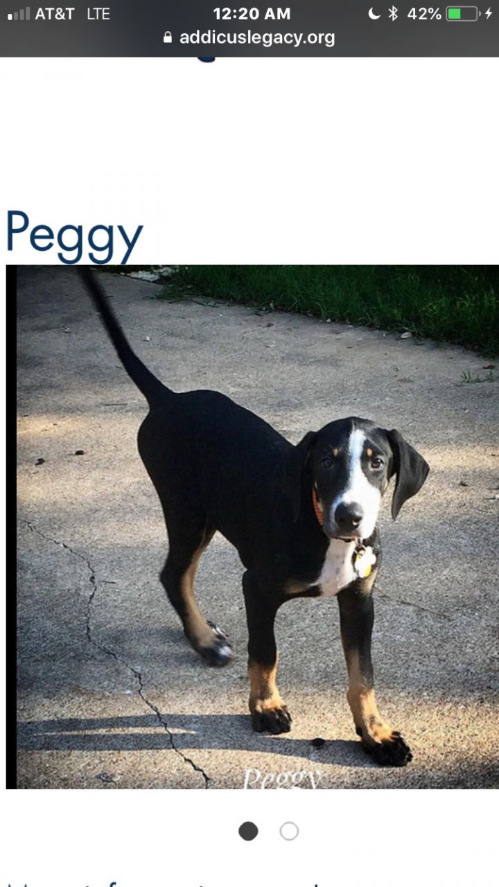 Pretty Peggy 2