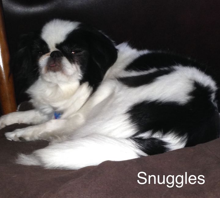 Snuggles 1