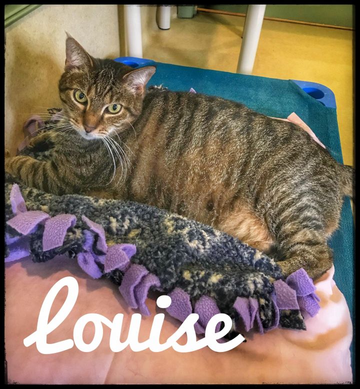 Louise 1