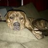 Earl photo 6