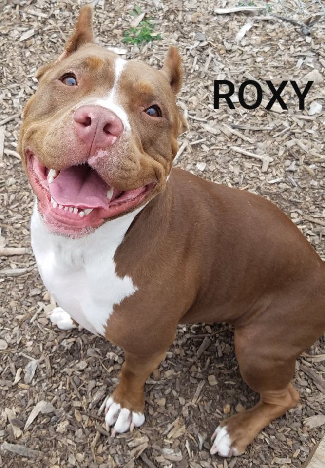 Roxy