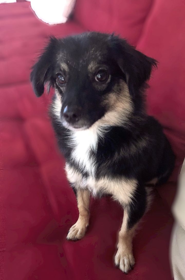 Luna-Adopted! 5