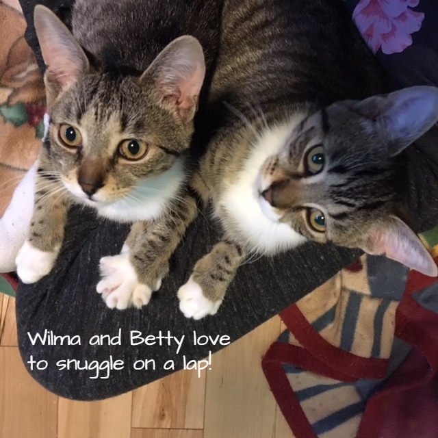 Betty and Wilma (Bonded Sisters) 2