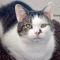. Kitty .