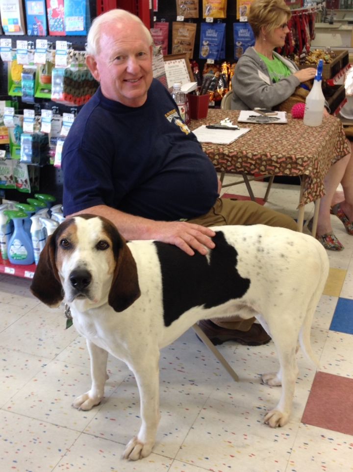 Roman, an adopted Treeing Walker Coonhound Mix in Oxford, MI_image-6