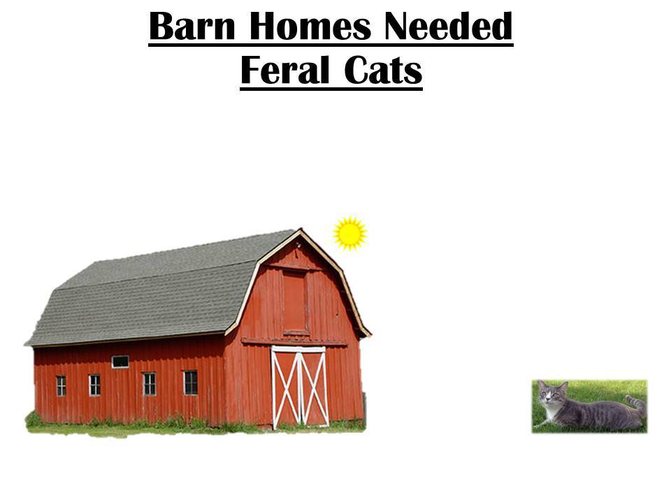 AC Barn Homes Needed