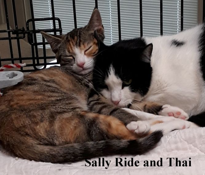 Thai and Sally Ride ( bonded pair)