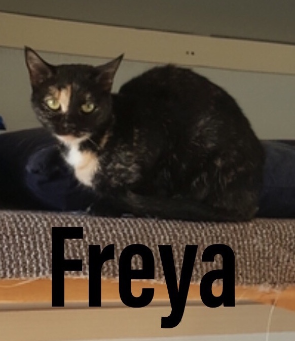 Freya 2