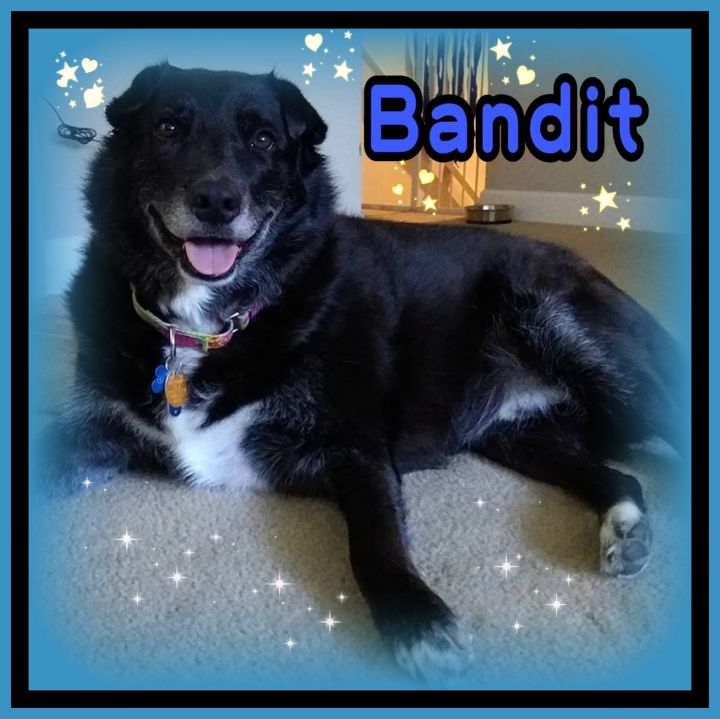 Bandit (Mighty) 2