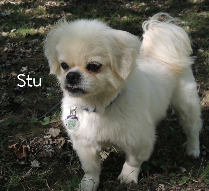 Stu (Stuey) 3