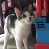 Nylah photo 2