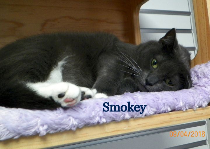 Smokey 2