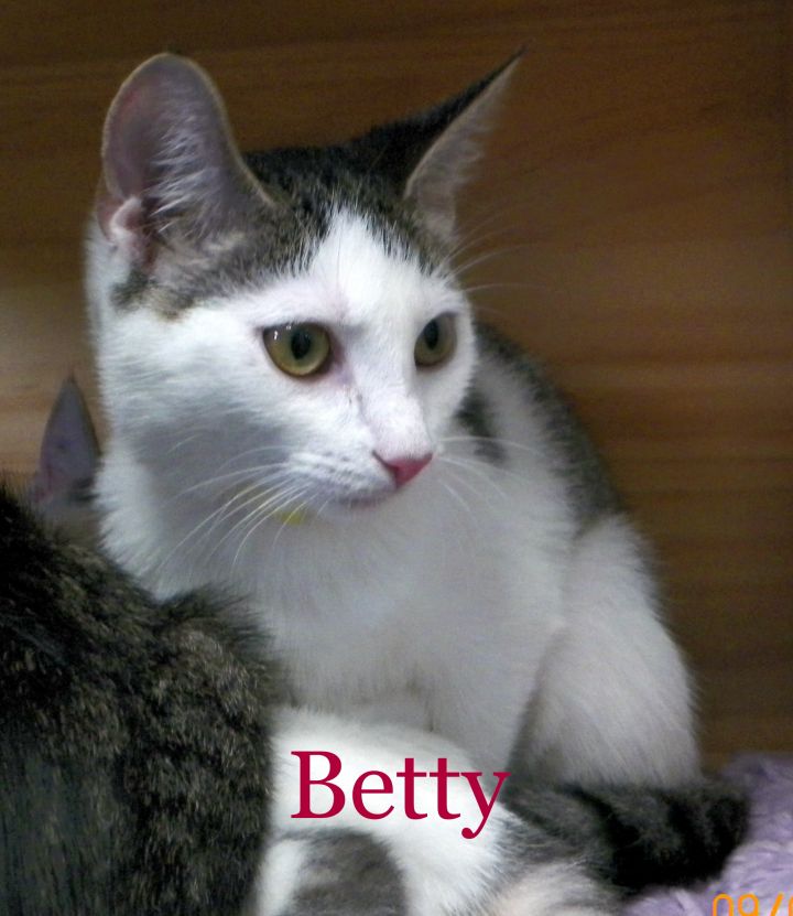 Betty 1