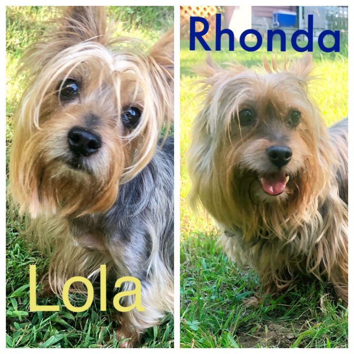 Lola and Rhonda 3