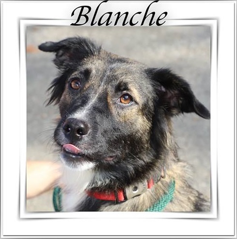 Blanche 1