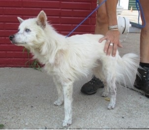 Billy-Adopted! 6