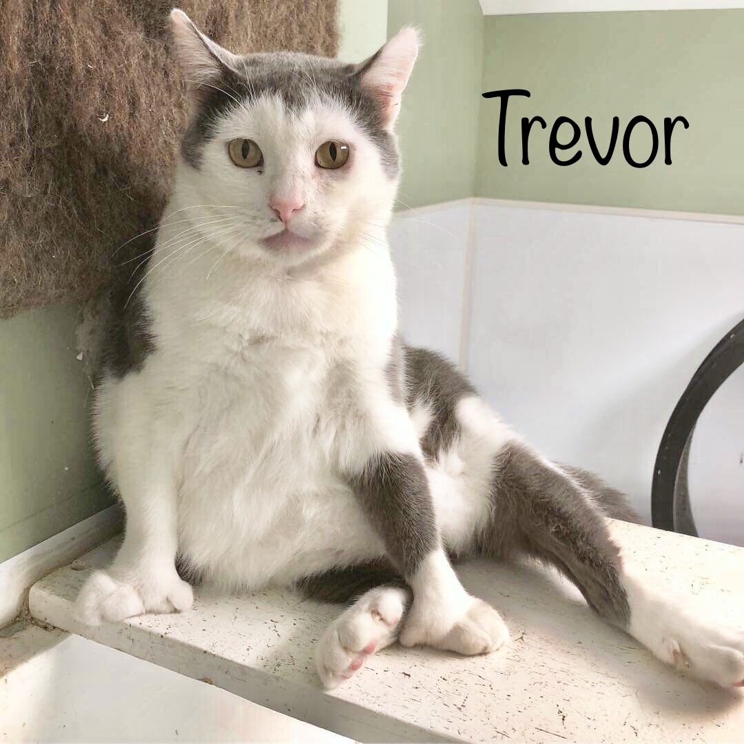 Trevor detail page