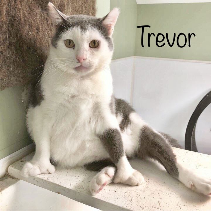 Trevor 1