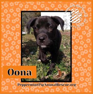 Oona