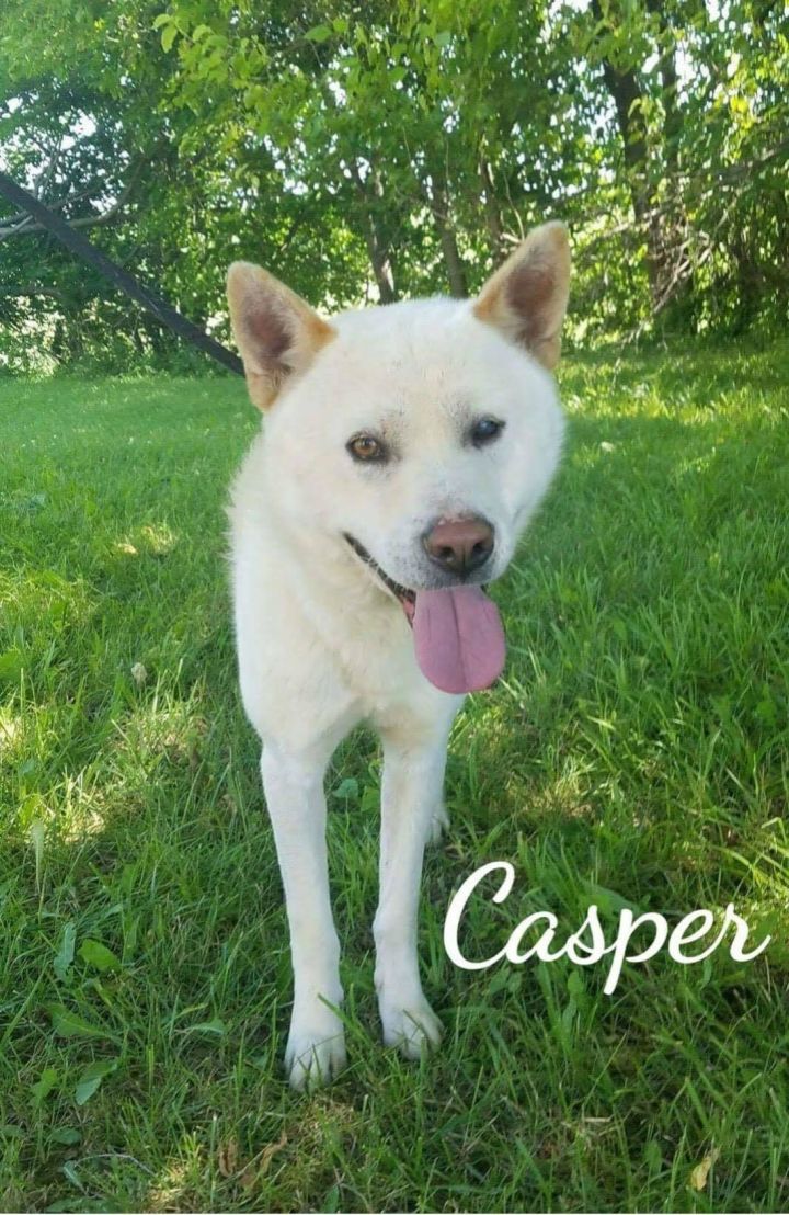 Casper. 3