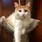 . Lord Marmalade .