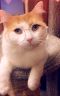 . Lord Marmalade .